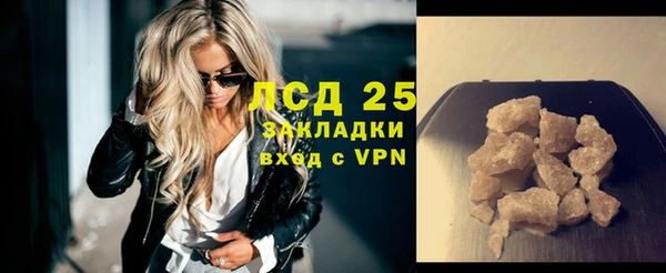 сатива Беслан
