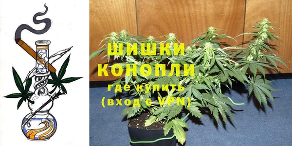 спайс Няндома