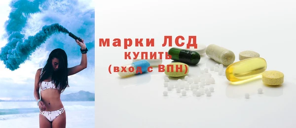 сатива Беслан