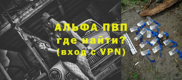 сатива Беслан