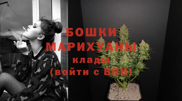 не бодяженный Бикин