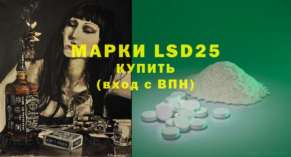сатива Беслан
