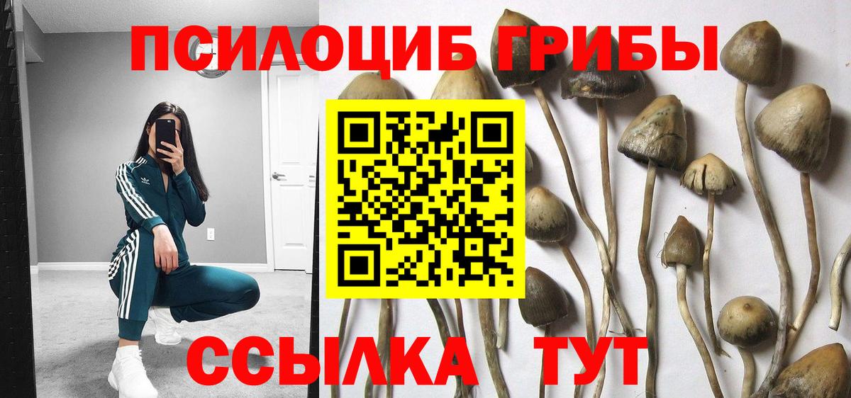 Галлюциногенные грибы GOLDEN TEACHER Сатка