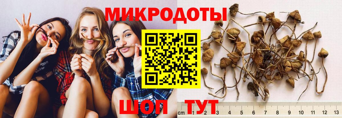 Псилоцибиновые грибы мицелий  закладка  Сатка  Вход с VPN 